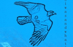 459581408 18053851285838220 7545598224239089533 n