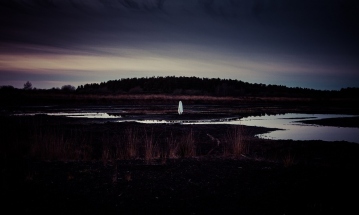 Mark Collins Culture N Ight 2025 002 small