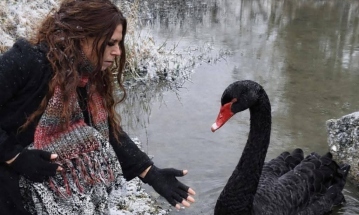 By The Bog Of Cats New