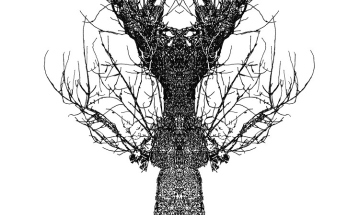 Eamon O Kane Tree Baum small