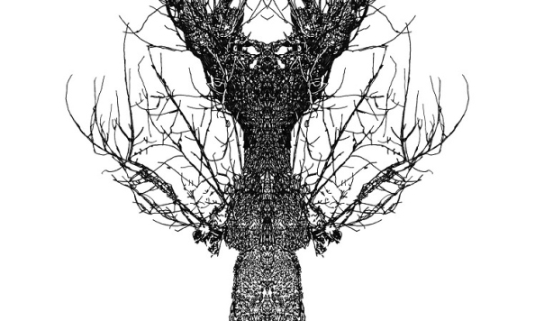 Eamon O Kane Tree Baum small
