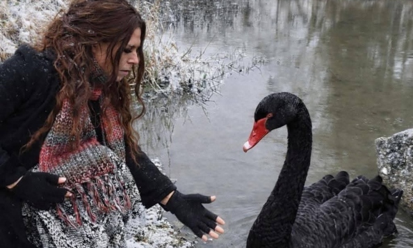 By The Bog Of Cats New