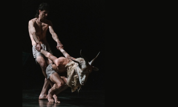 Tipperary Dance 1 Satiri