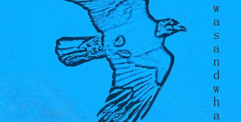 459581408 18053851285838220 7545598224239089533 n